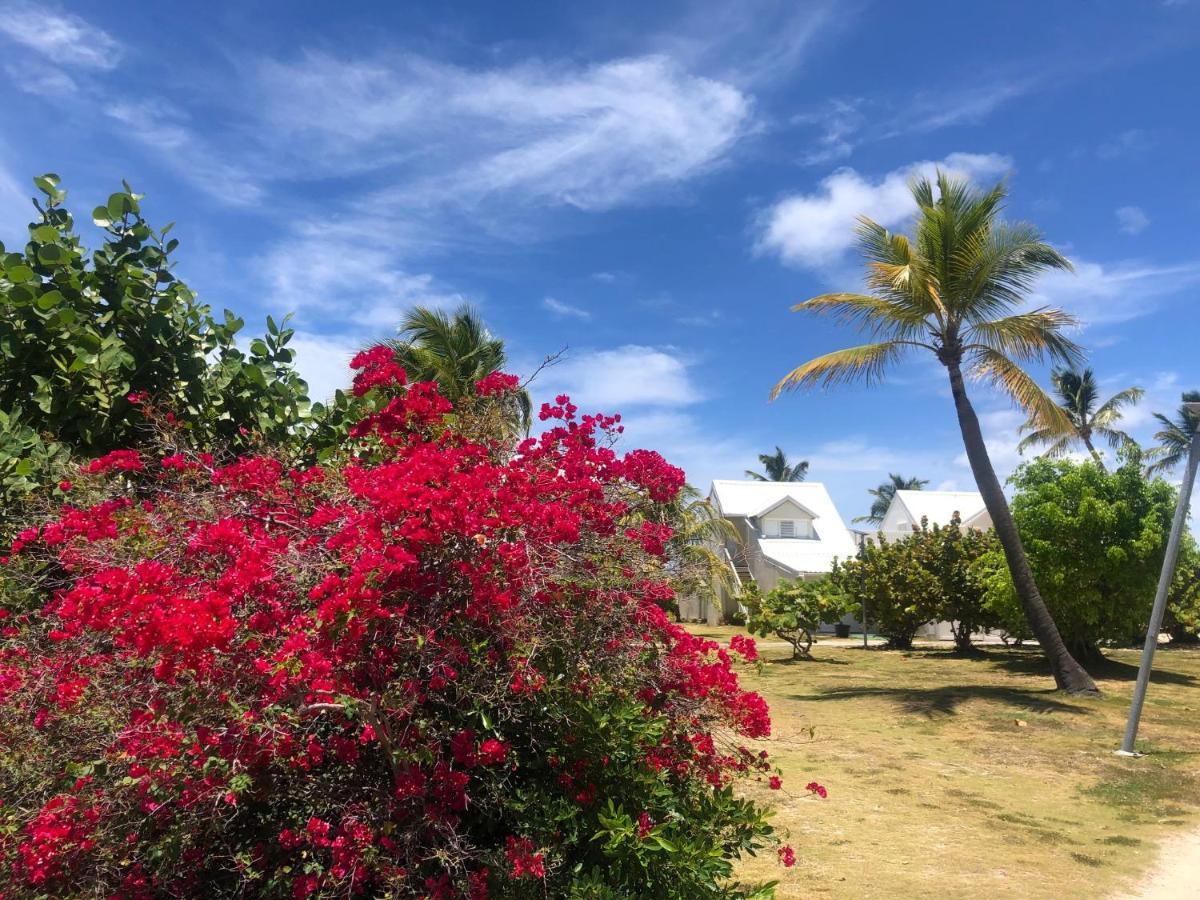 Sweet Home Sxm Baie Nettle Pieds Dans L'Eau Sandy Ground Exterior photo